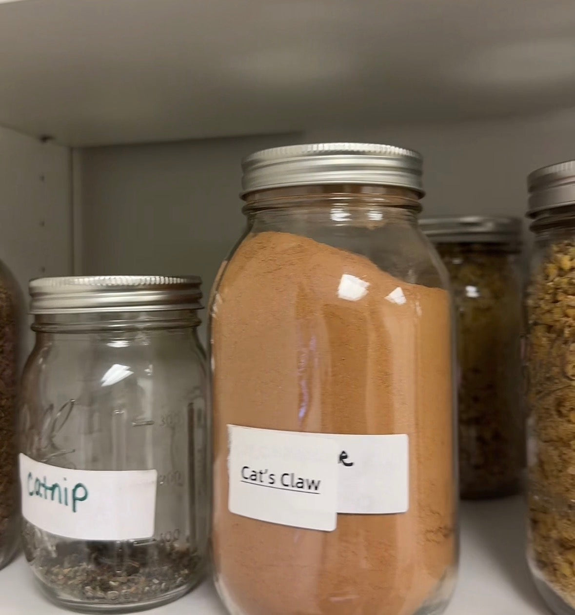 In-Person Apothecary Appointment (Deposit Required)